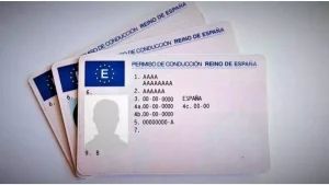 canje licencia conducir